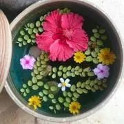 MKの画像