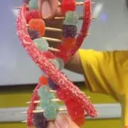 鯖の画像