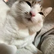 anuの画像