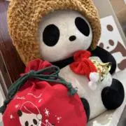 なごちゃんの画像