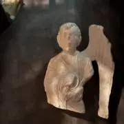 ぴよこの画像