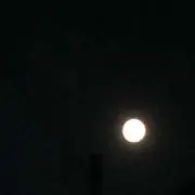 藍染