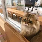 うめ☆プロフ必読の画像