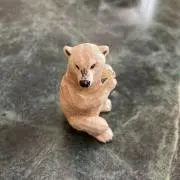 ともすけの画像