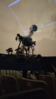 くろの画像