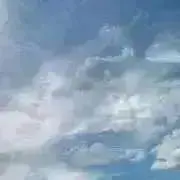 Naraの画像
