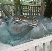 ふじいの画像