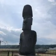 てるぽんの画像
