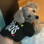 ひびき
