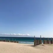 しんしん