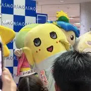 オコゾーの画像