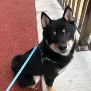 りー
