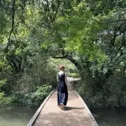 ちゃむの画像