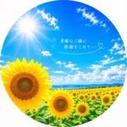 ゆかの画像