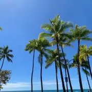 みその画像
