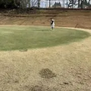 七つ★の画像