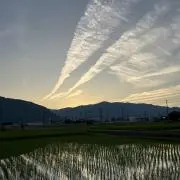 からだ天然石の画像