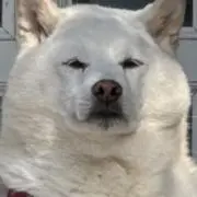 YUNAの画像