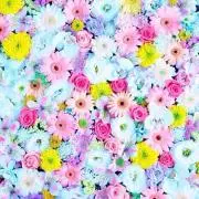あいこ☺︎︎の画像