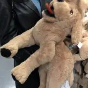 kuruの画像