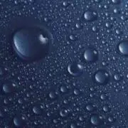 カメックス