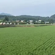 山形米　アスパラ農家あきばファームの画像
