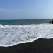 shihologyの画像