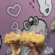 りちゃんの画像
