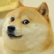 けんたろうの画像