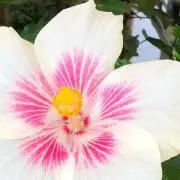 みー※プロフ必読の画像