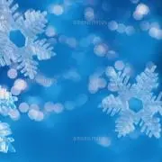 ゆきんこ