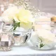 のぴ (ご購入前にプロフをご覧下さい)の画像