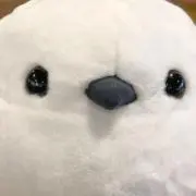 こまるの画像
