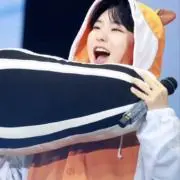 .soaの画像