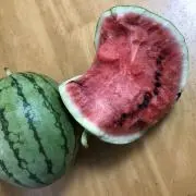 まつ