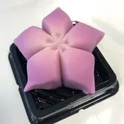 みいの画像