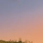 ゆの画像