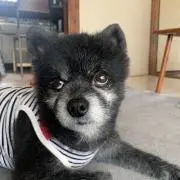 じゅんくみ