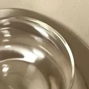 saboの画像