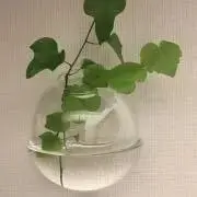 すーとまりの画像