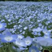 misakoの画像