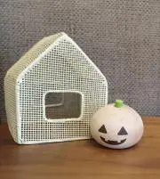 mokoの画像