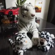 ひでおの画像