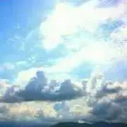 Blue*の画像