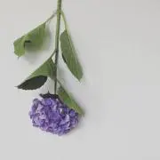 F.Oの画像