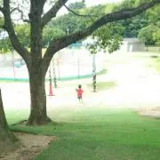 はやぶさ