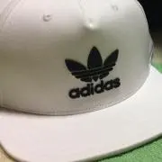 marimoの画像