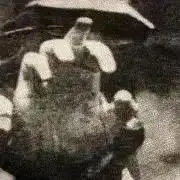 ℹ︎amℹ︎の画像
