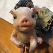 YOU豆の画像