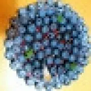 nonnon Berryの画像
